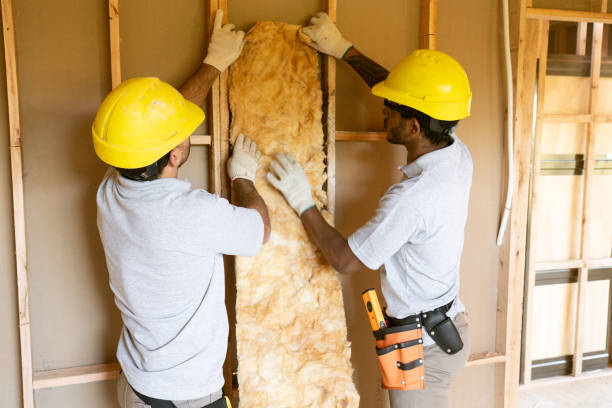 Best Insulation Air Sealing  in Nellysford, VA